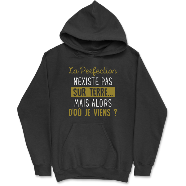 Sweat a capuche homme la perfection n’existe pas