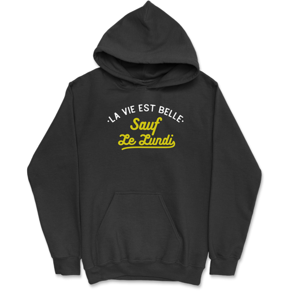 Sweat a capuche homme la vie est belle