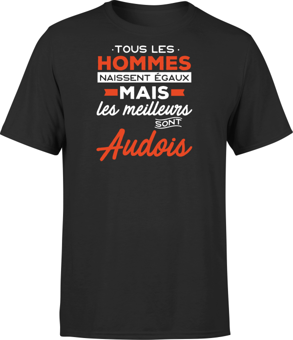 T shirt homme Les meilleurs sont audois