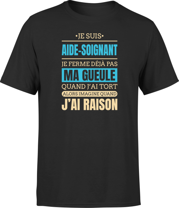 T shirt homme j ai raison je suis aide soignant