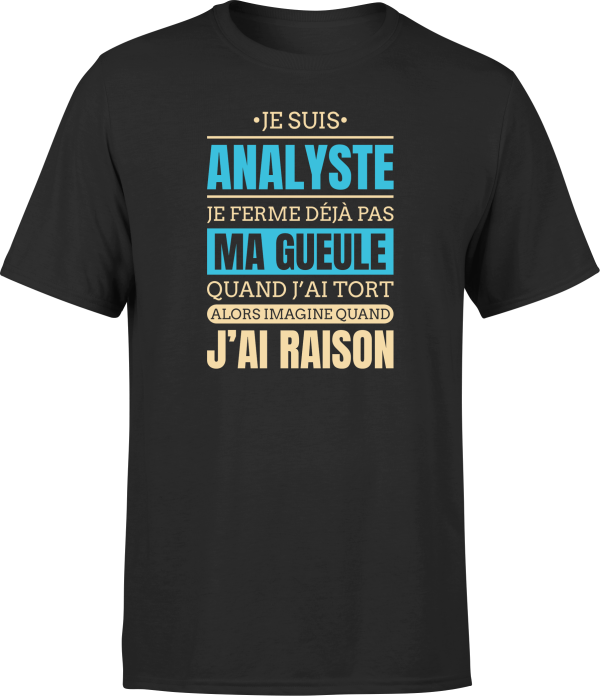 T shirt homme j ai raison je suis analyste