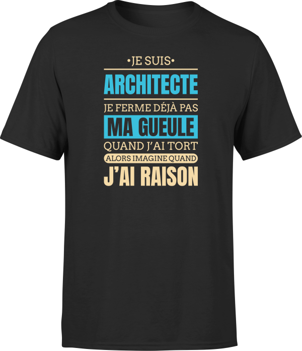 T shirt homme j ai raison je suis architecte