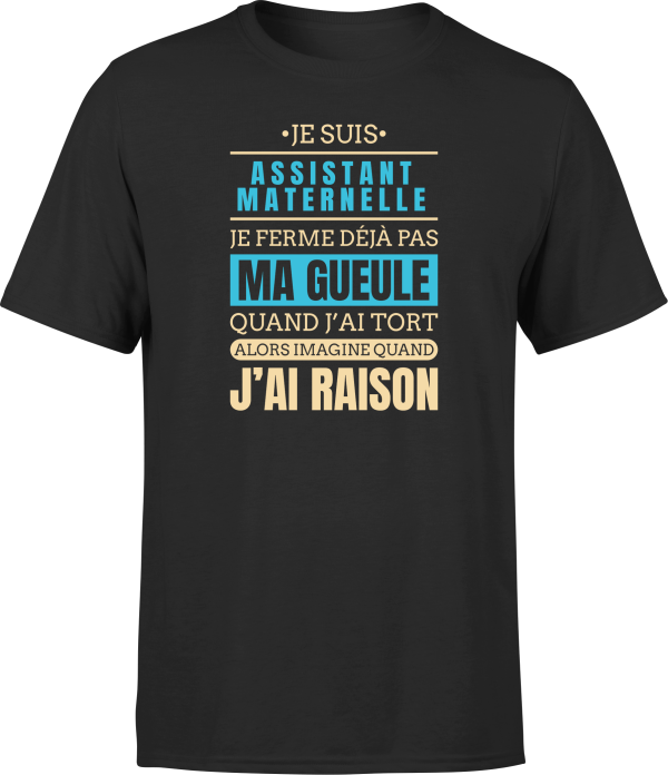 T shirt homme j ai raison je suis assistant maternelle