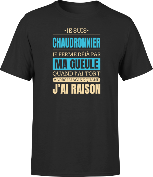 T shirt homme j ai raison je suis chaudronnier