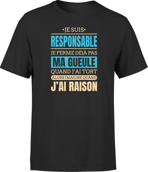 T shirt homme j ai raison je suis responsable