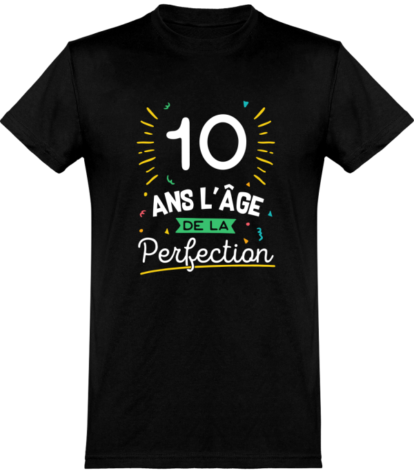 T shirt homme 10 ans la perfection