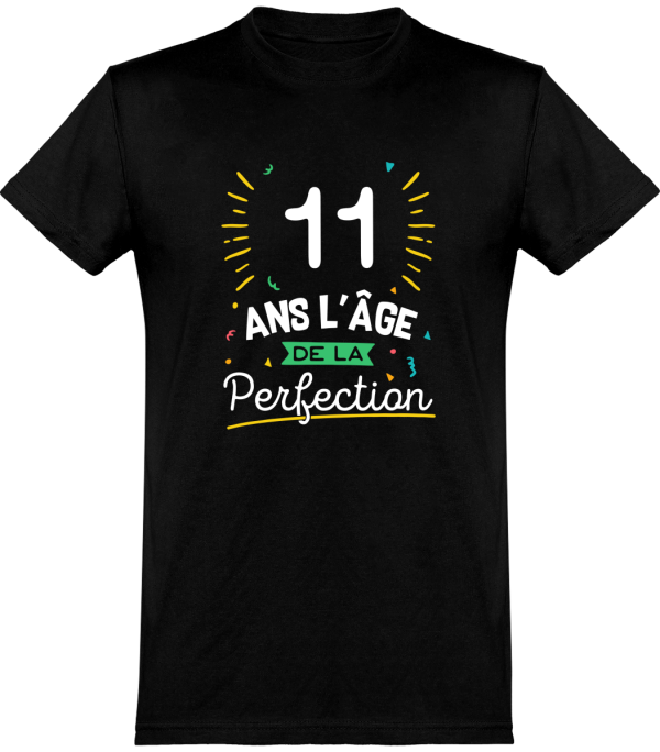 T shirt homme 11 ans la perfection