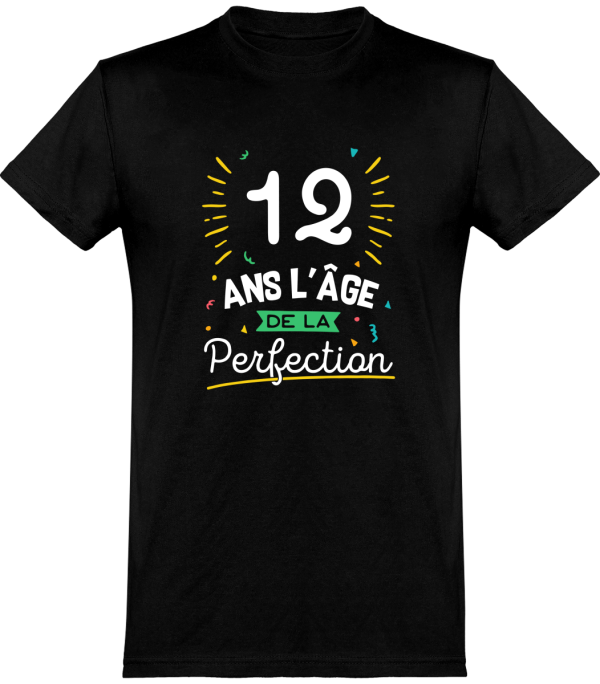 T shirt homme 12 ans la perfection