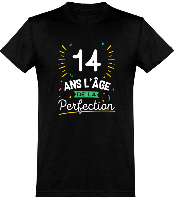 T shirt homme 14 ans la perfection