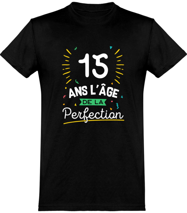 T shirt homme 15 ans la perfection