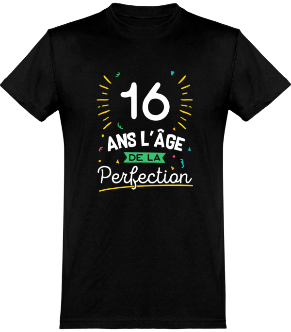 T shirt homme 16 ans la perfection