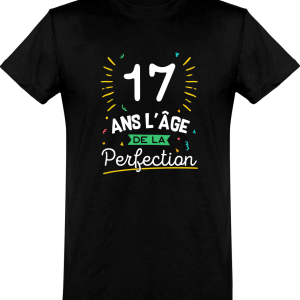 T shirt homme 17 ans la perfection