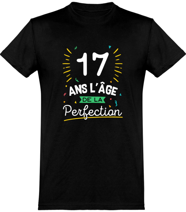 T shirt homme 17 ans la perfection