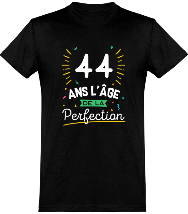 T shirt homme 44 ans la perfection