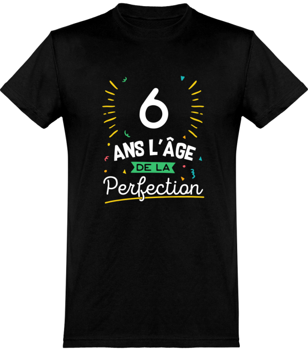 T shirt homme 6 ans la perfection