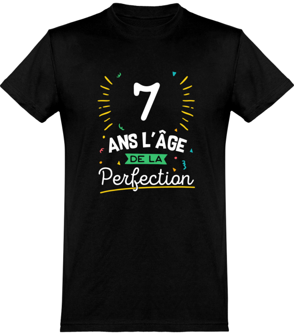 T shirt homme 7 ans la perfection