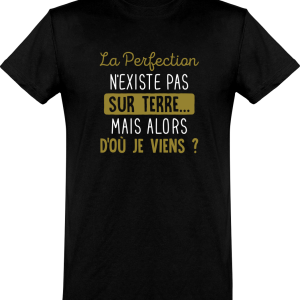 T shirt homme�la perfection n’existe pas