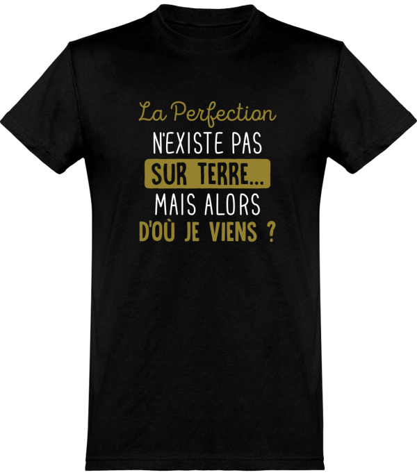 T shirt homme�la perfection n’existe pas