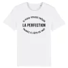 T Shirt La perfection – Pour Homme