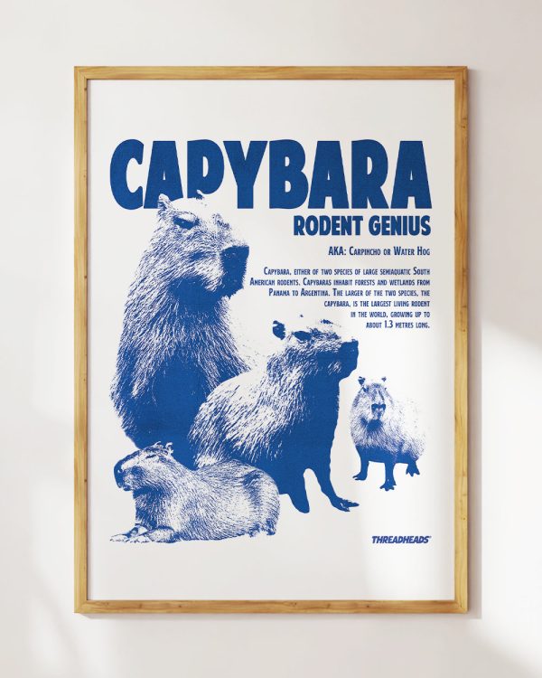 Capybara Rodent Genius Art Print