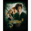 Chamber of Secrets Art Print