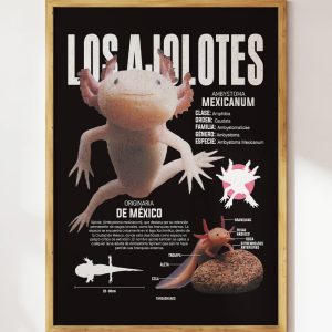 Los Ajolotes Art Print Los Ajolotes Art Print