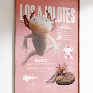 Los Ajolotes Art Print
