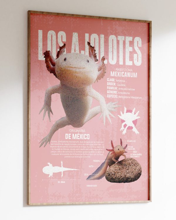 Los Ajolotes Art Print