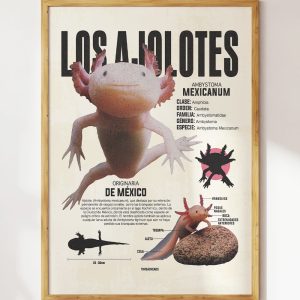 Los Ajolotes Art Print 2 Los Ajolotes Art Print 12