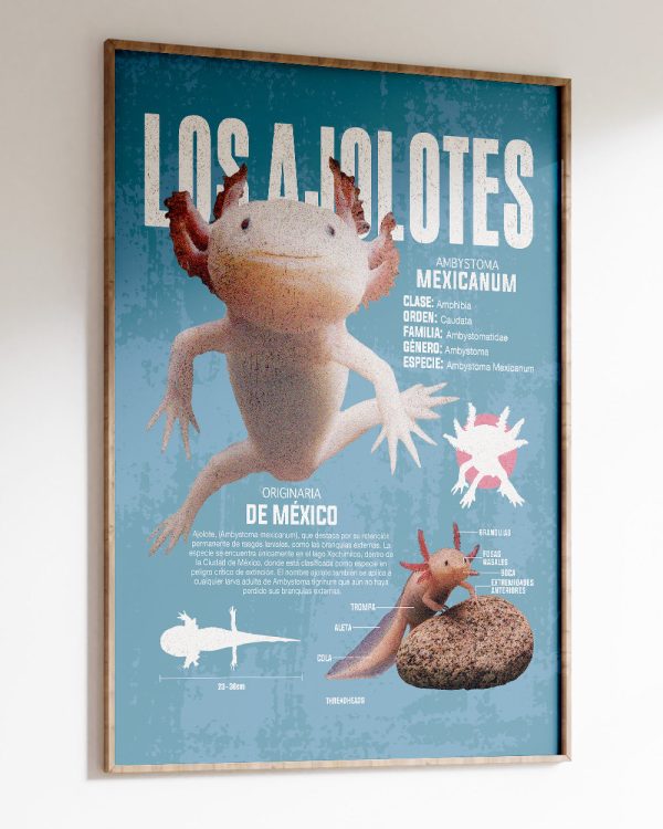 Los Ajolotes Art Print