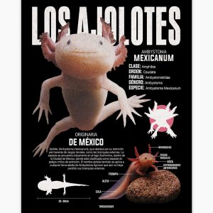 Los Ajolotes Art Print 6 Los Ajolotes Art Print 3