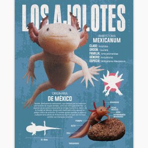 Los Ajolotes Art Print 7 Los Ajolotes Art Print 4