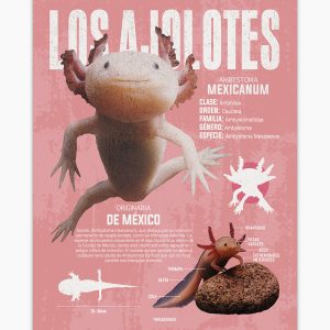 Los Ajolotes Art Print 9 Los Ajolotes Art Print 6