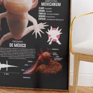 Los Ajolotes Art Print 10 Los Ajolotes Art Print 7