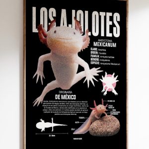 Los Ajolotes Art Print 11 Los Ajolotes Art Print 8