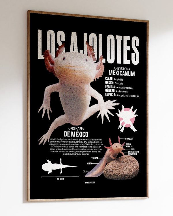 Los Ajolotes Art Print