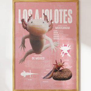 Los Ajolotes Art Print 12 Los Ajolotes Art Print 9