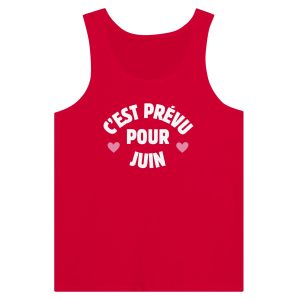 Debardeur annonce grossesse C&rsquo;est prevu pour Juin