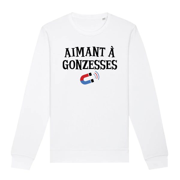 Sweat Adulte Aimant a gonzesses