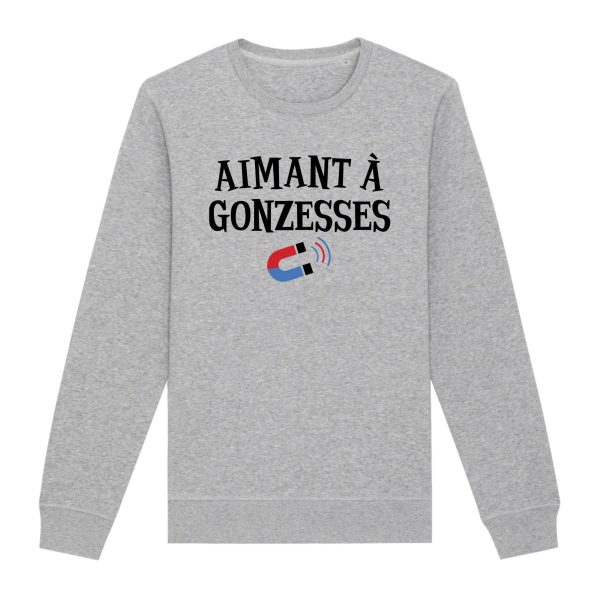 Sweat Adulte Aimant a gonzesses