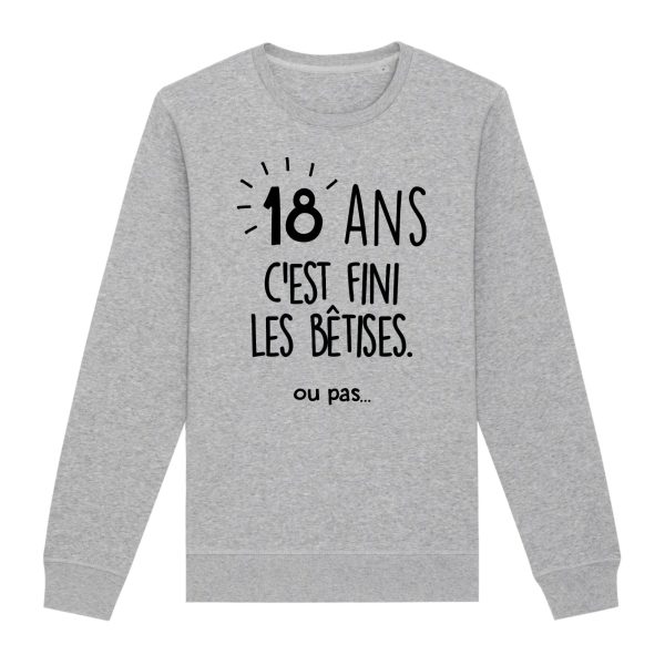 Sweat Adulte Anniversaire 18 ans