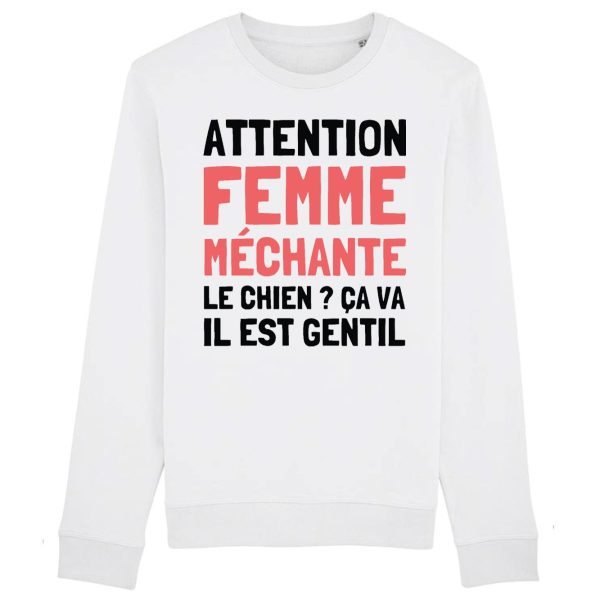 Sweat Adulte Attention femme mechante