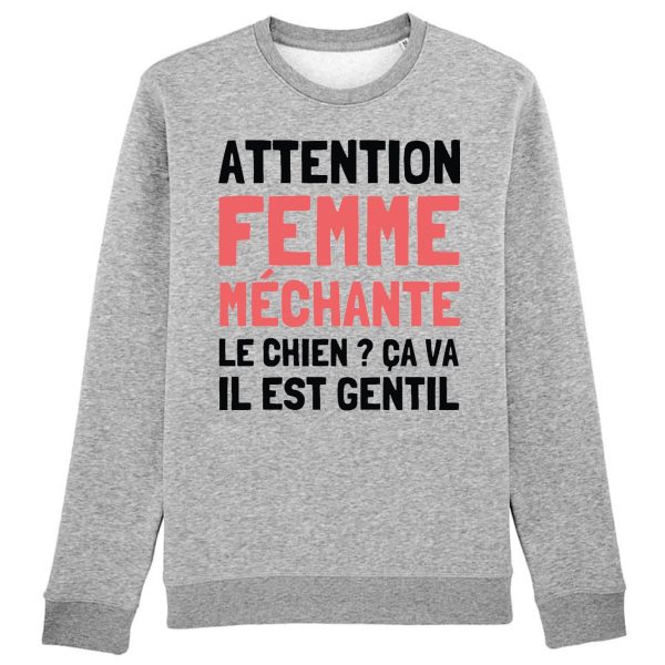 Sweat Adulte Attention femme mechante