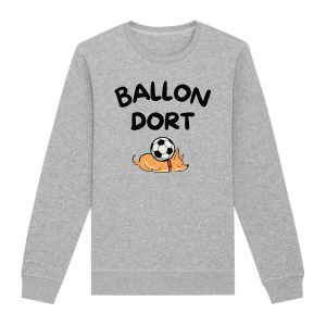 Sweat Adulte Ballon dort