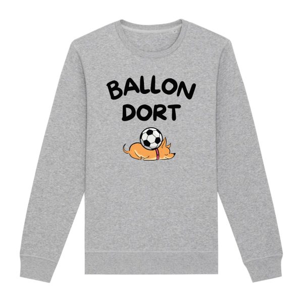 Sweat Adulte Ballon dort