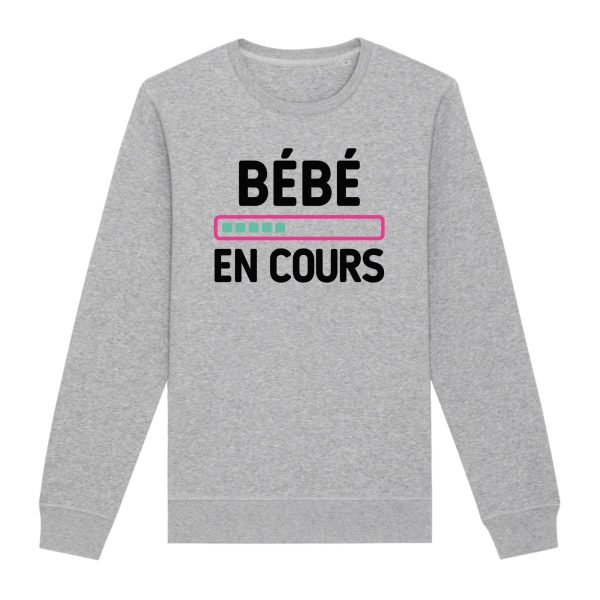 Sweat Adulte Bebe en cours