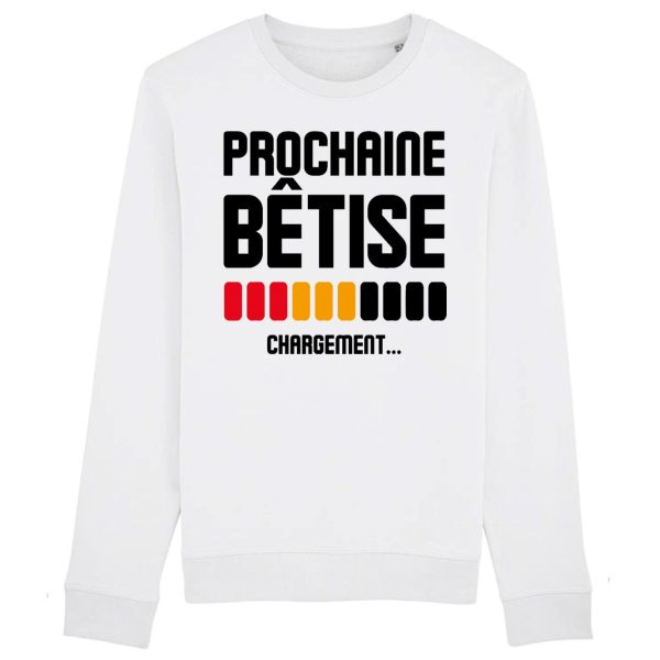 Sweat Adulte Chargement prochaine betise