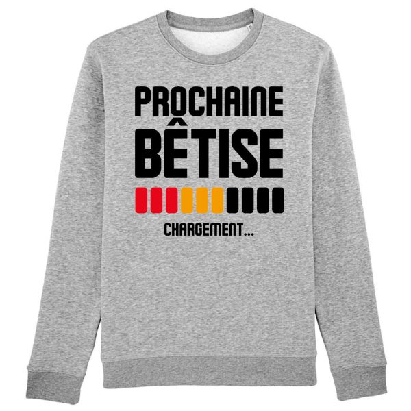 Sweat Adulte Chargement prochaine betise