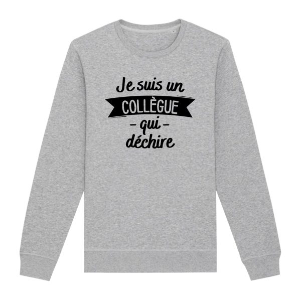 Sweat Adulte Collegue qui dcchire