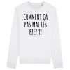 Sweat Adulte Comment ca pas mal les bzez